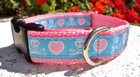 female dog collars|More.